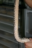 Thornscrub Ratsnake