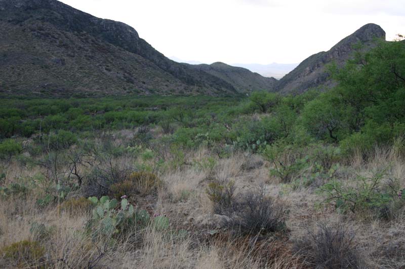 Foothills Habitat