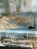 Nest Box Set-up