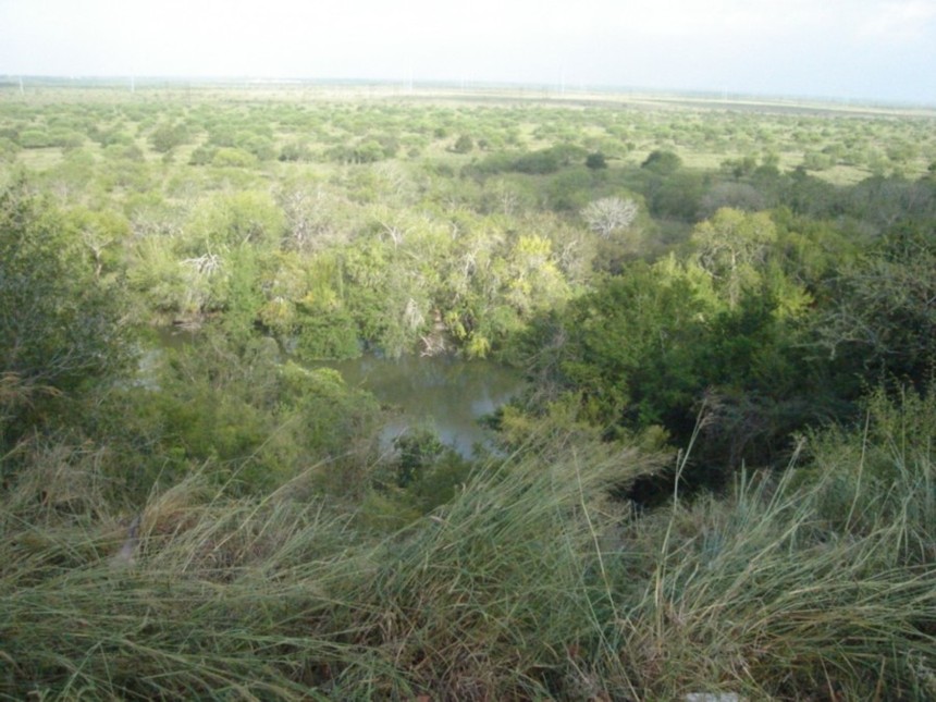 Nueces River Floodplain