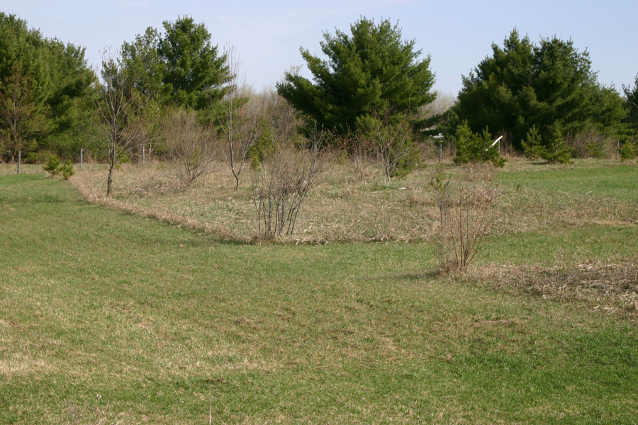 Old Field Islands