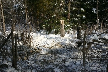 Trail Grooming