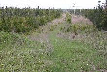Coastal Lake Huron