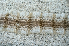Shed Skin