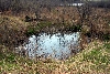 Lime Lake Fen