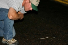 Toby and Hooknose Snake