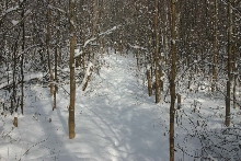 Willow Swale Trail