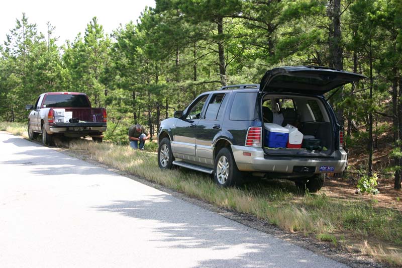 Ouachita National Forest Habitat
