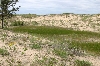 Sleeping Bear Dunes
