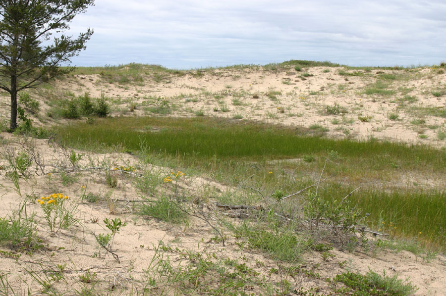 Sleeping Bear Dunes