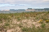 Sleeping Bear Dunes