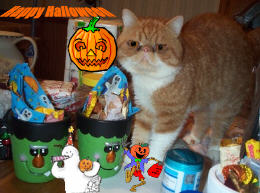 Happy Halloween