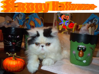 I'm scary too