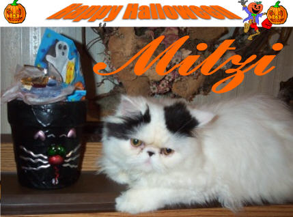 BOOO  My scary face!!!