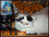 Trick or Treat!!!