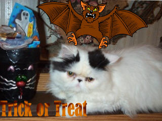 Trick or Treat!!!