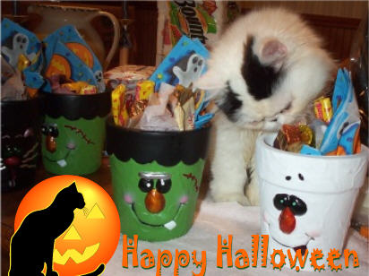 Yum Yum My treats!!!
