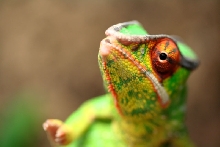 n.mitsio