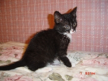 Spirit_Baby