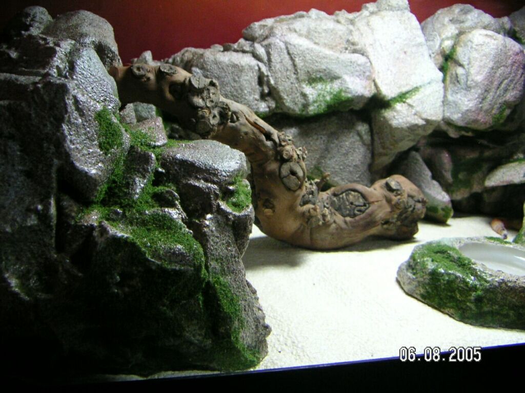 The left side