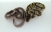 Gargoyle Lesser and Lesser