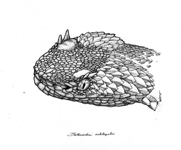 eyelash stipple