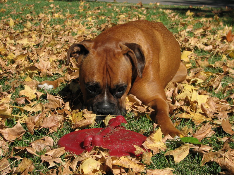 Gus Allen and his frisbee