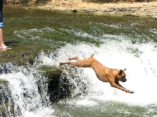 Gus and waterfall