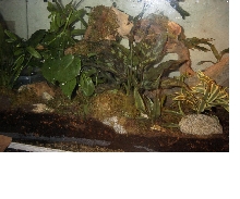 Cage2