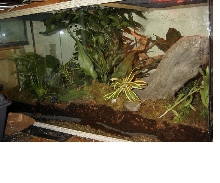 Big Terrarium
