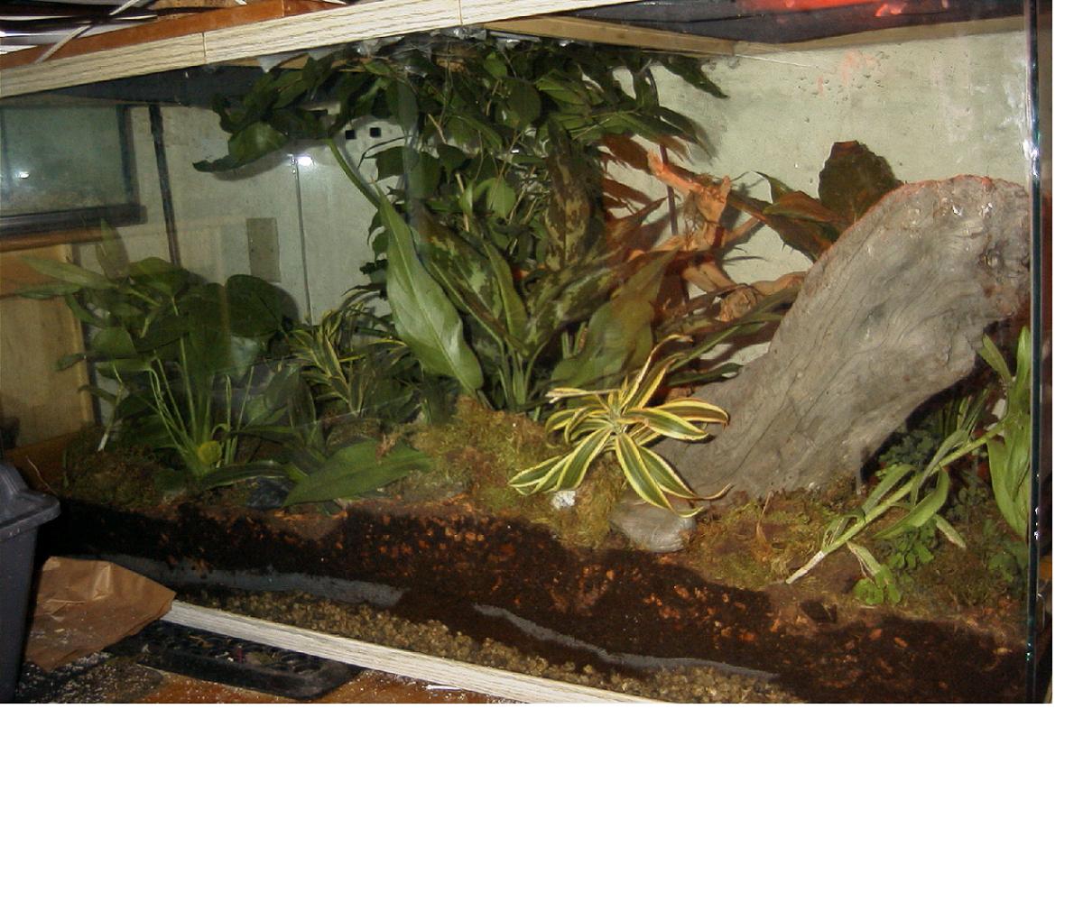 Big Terrarium