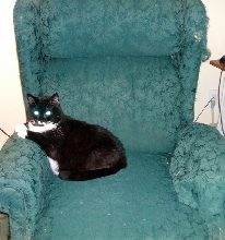 Jade waiting for momma