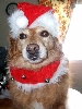 Sandy Claws