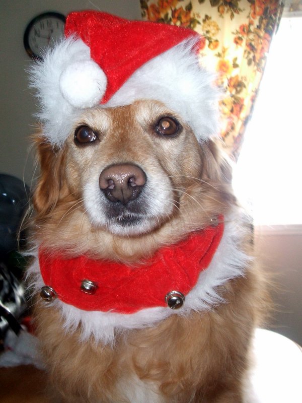 Sandy Claws