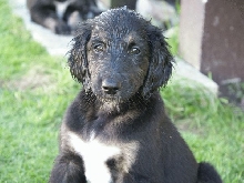 Armani All Wet!