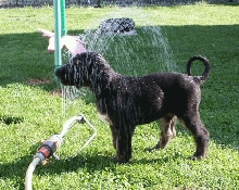 Armani's First Shower!