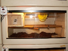 GTP set up