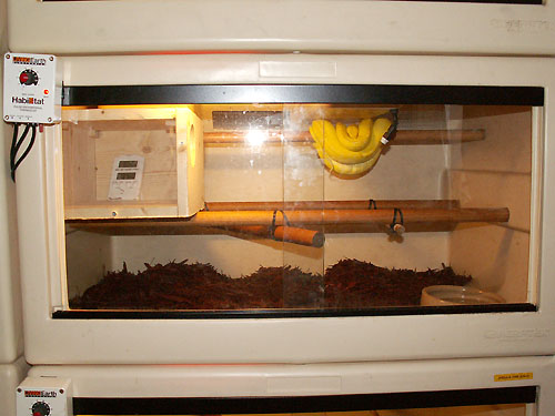 GTP set up