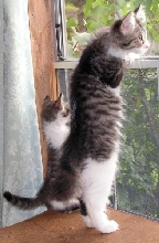 Cassidy & Chelsea