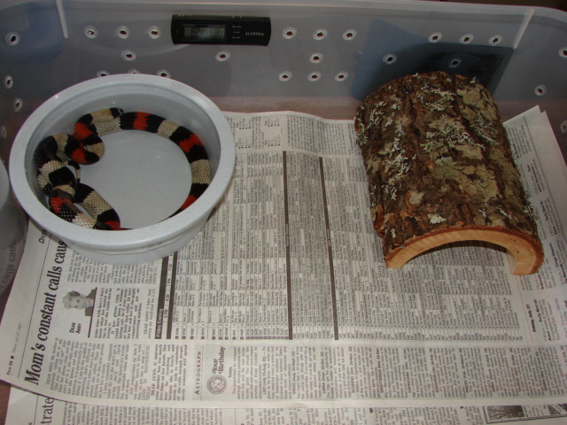 Pueblan enclosure