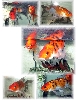 Tom the "goldfish"