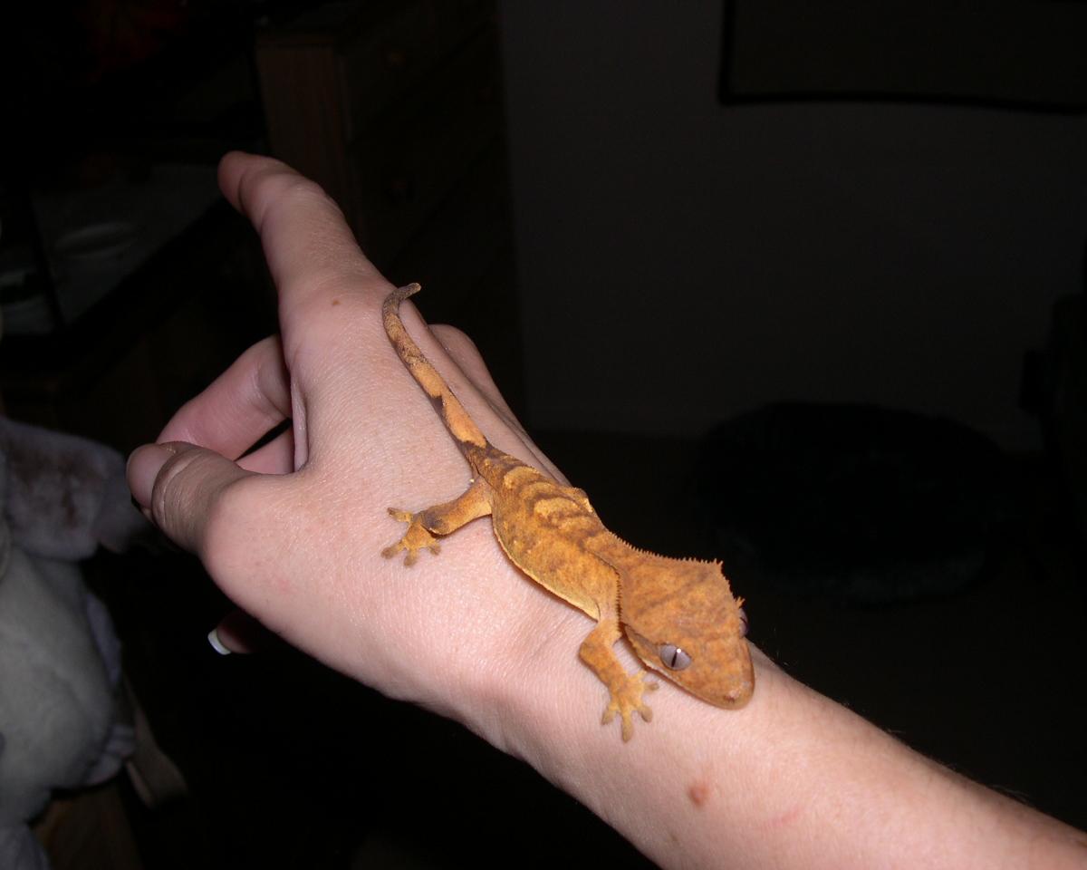 Rusty