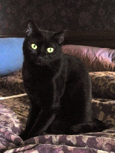 April 2004
