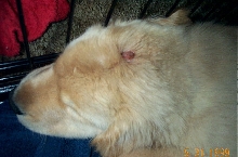 injury