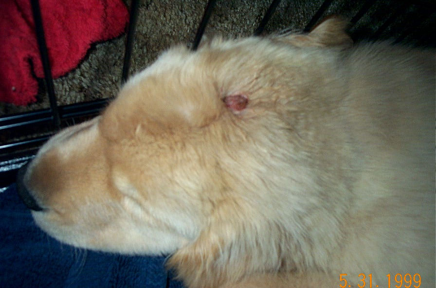 injury