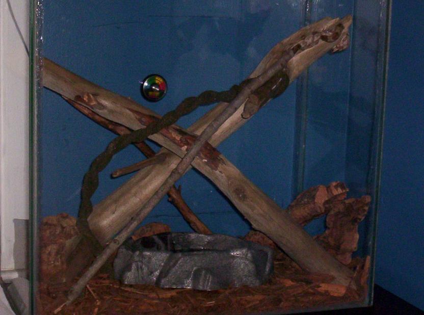 Hogg Island Tank