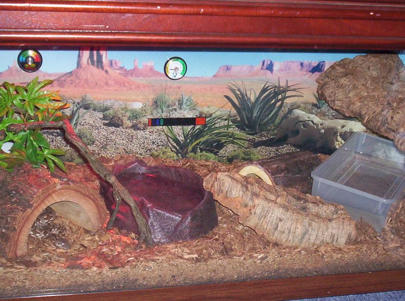 Redone Tank