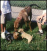 Chaney and friends