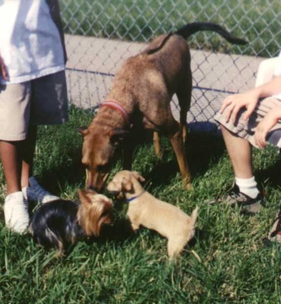 Chaney and friends
