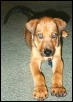 Chaney's baby picture